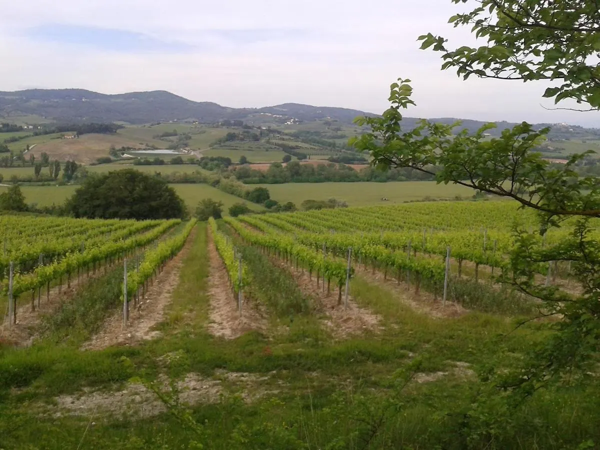 Chiantihouse Country House With Garden And Wifi モンテスペルトリ イタリア
