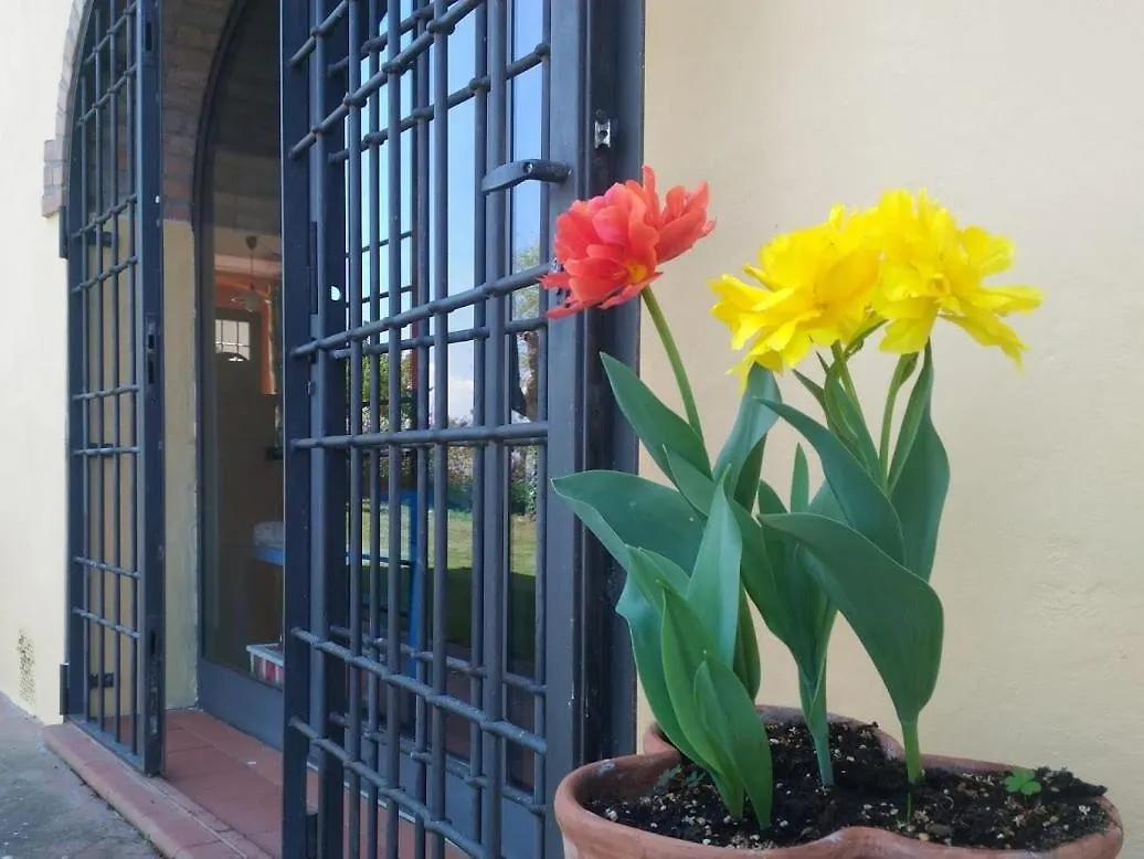 Chiantihouse Country House With Garden And Wifi Montespertoli Holiday home