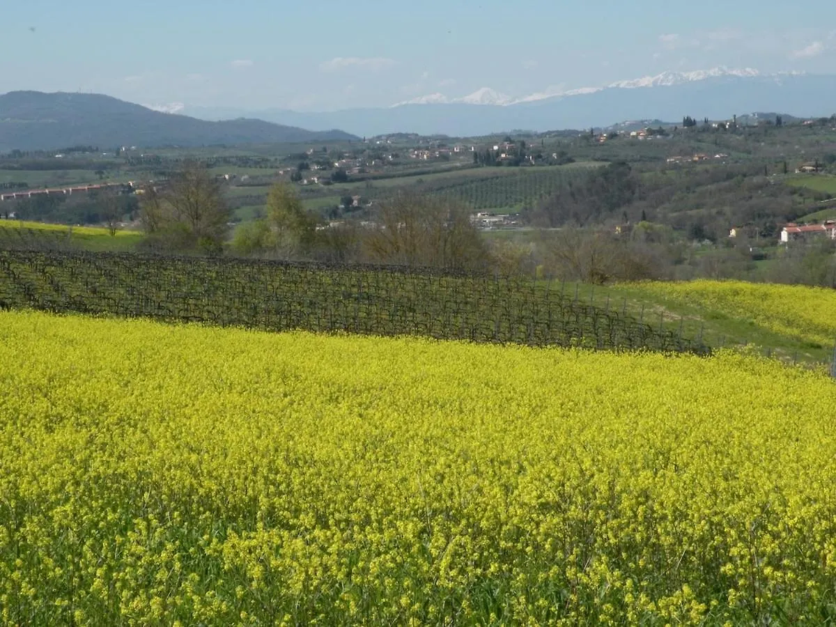 Chiantihouse Country House With Garden And Wifi Montespertoli 0*,