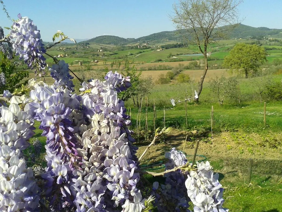 Holiday home Chiantihouse Country House With Garden And Wifi Montespertoli